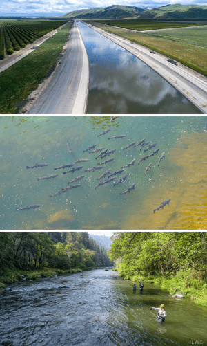 watershed healthy 3 images watershed healthy 3 images